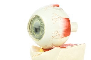 Cataract treatment in Chicago