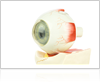 Cataract treatment in Chicago